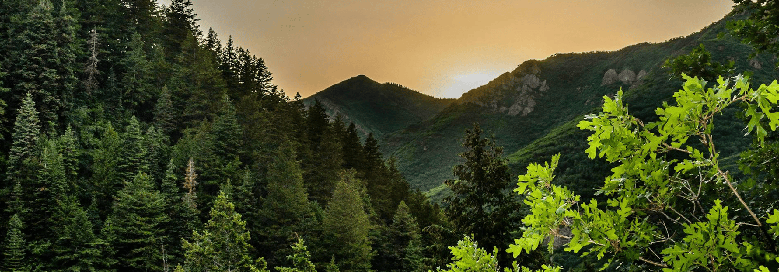Sun over a mountain